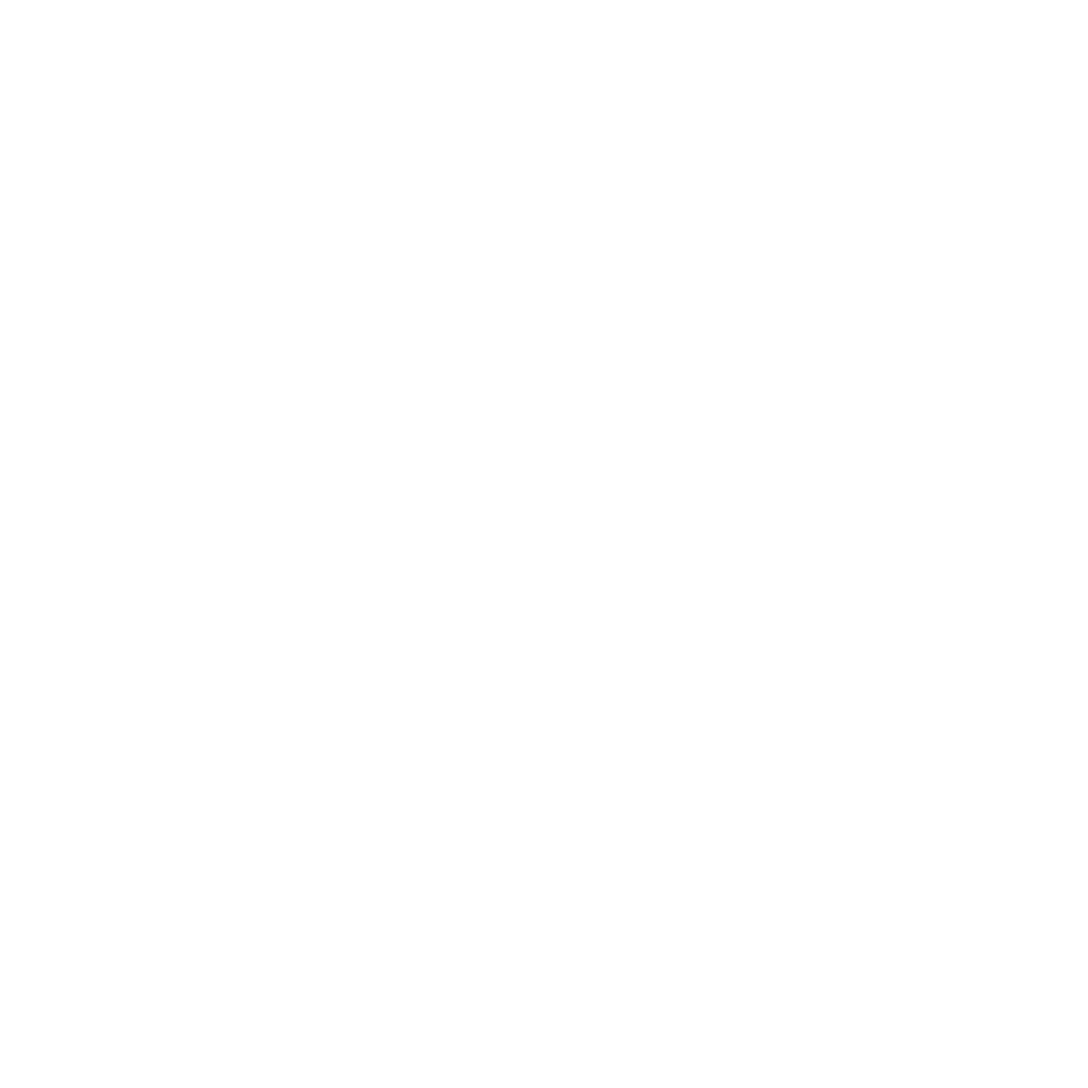 le maestro by Concerti